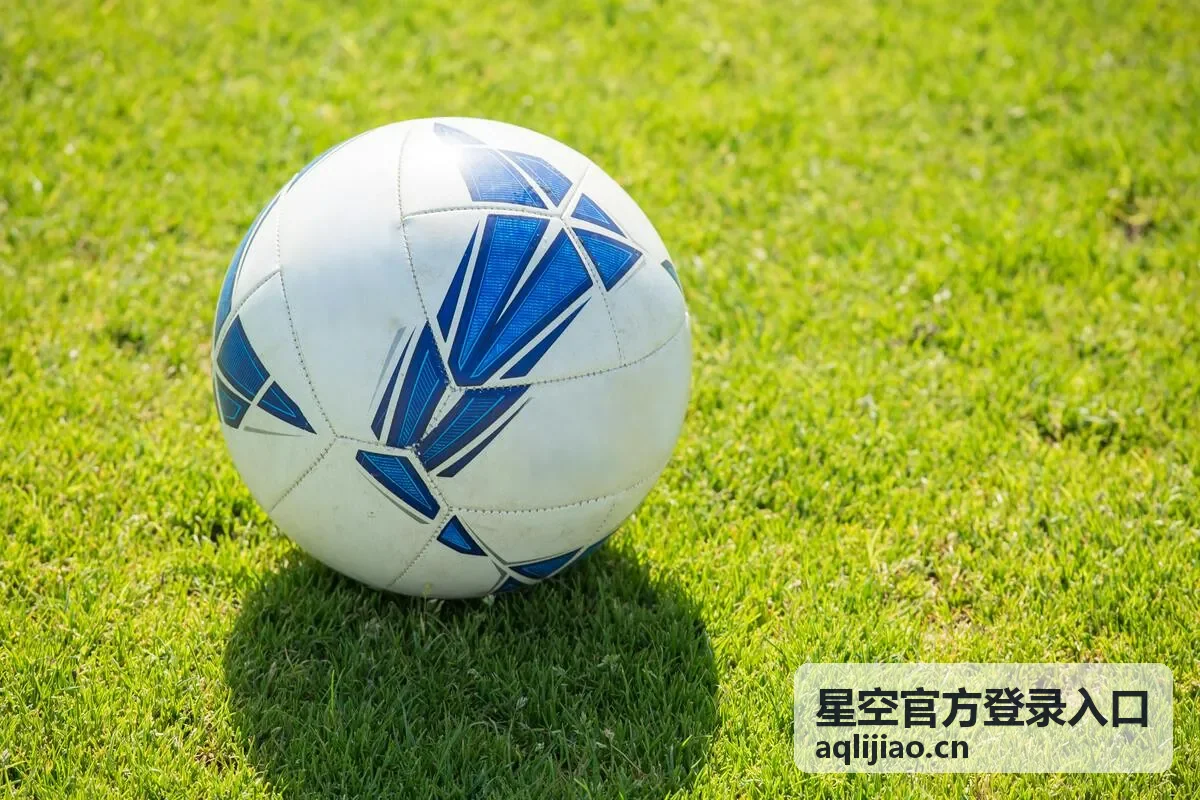 星空官方登录入口快速访问指南