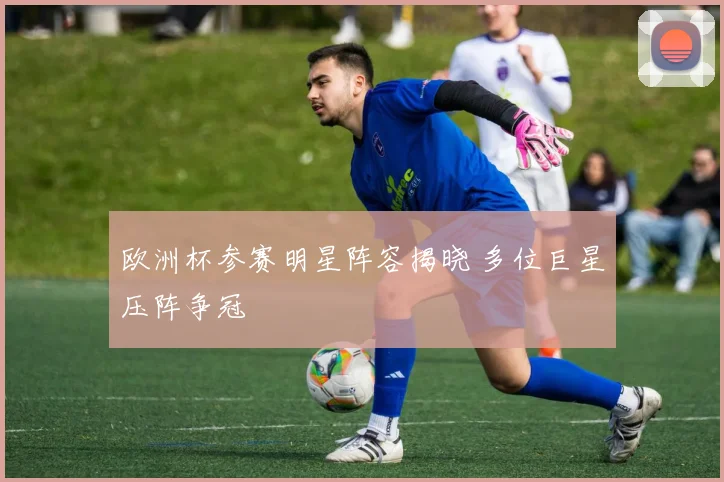 欧洲杯参赛明星阵容揭晓 多位巨星压阵争冠