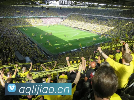 9九游下载安装品牌故事